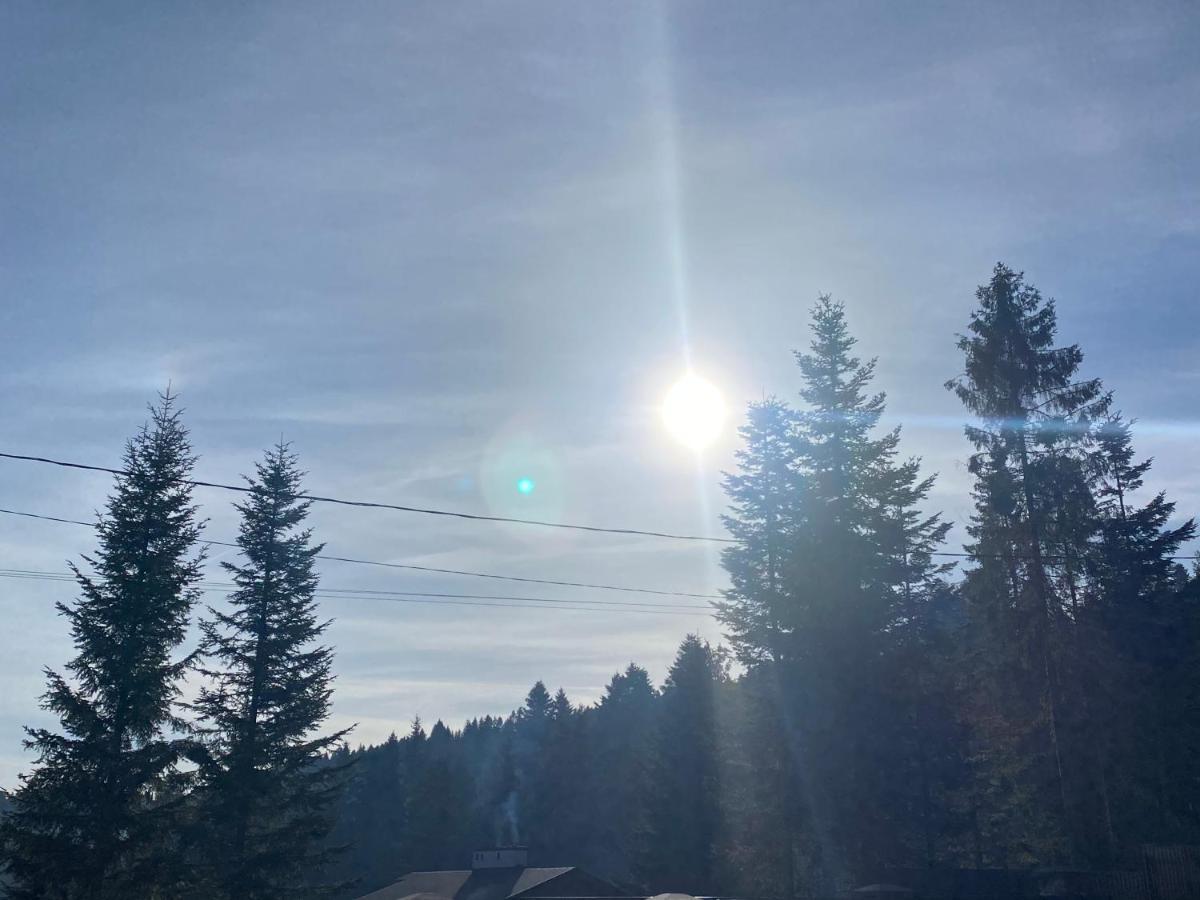Aparthotel Феєрія Лісу Skhidnytsia Esterno foto