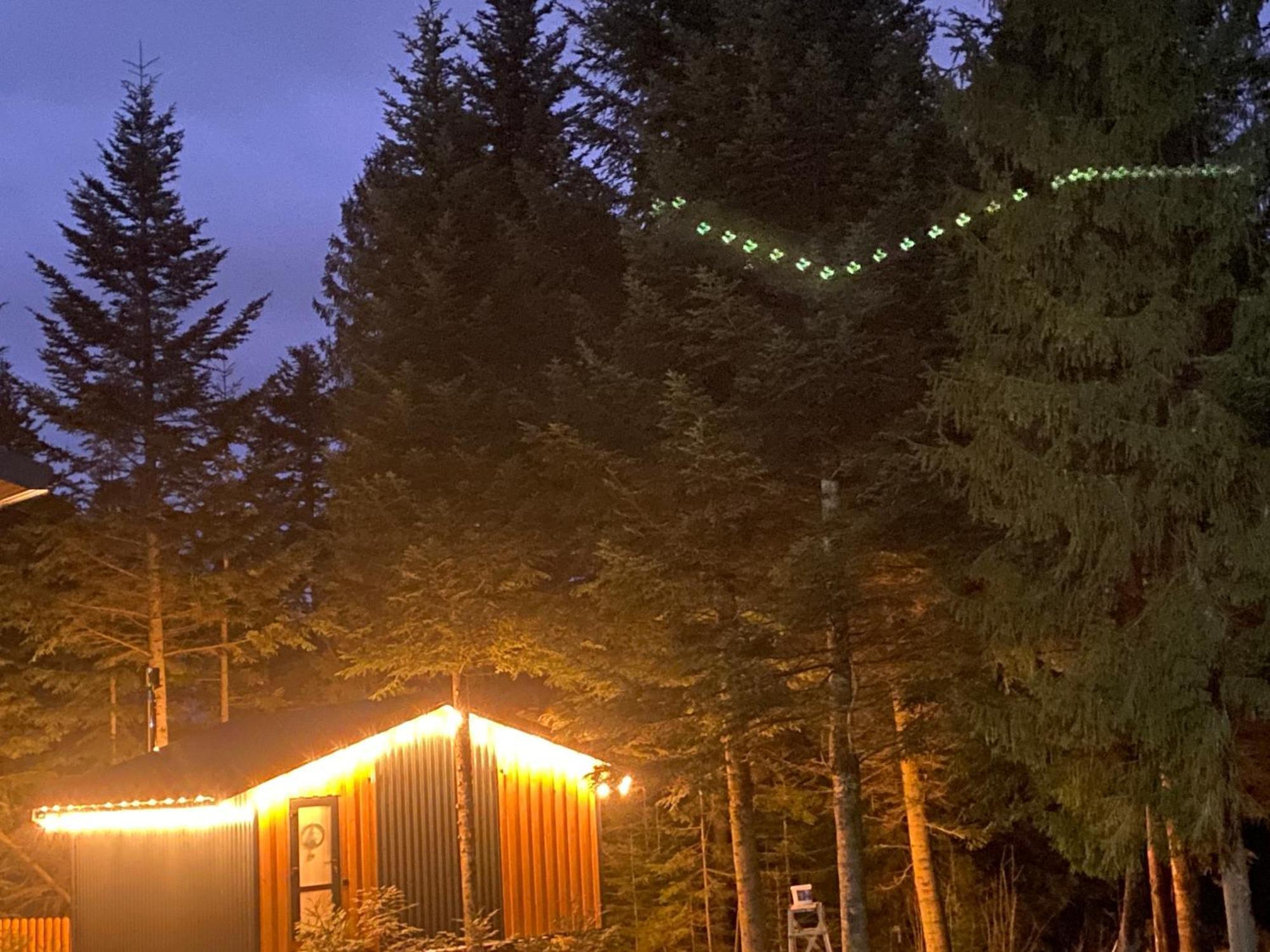 Aparthotel Феєрія Лісу Skhidnytsia Esterno foto