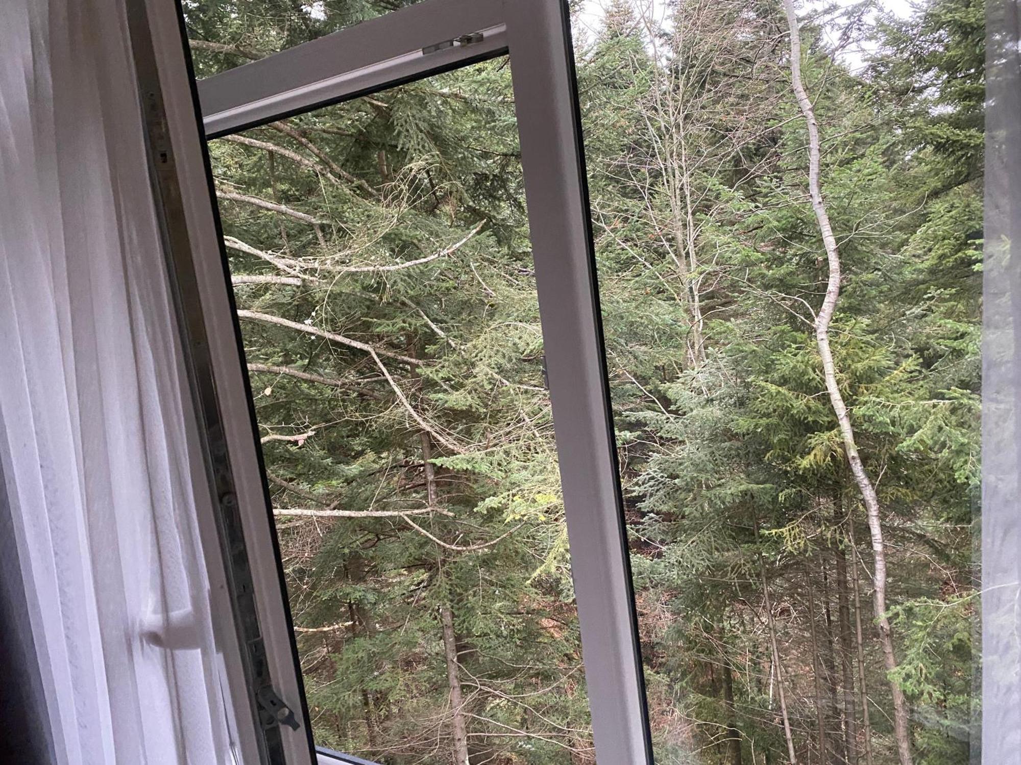 Aparthotel Феєрія Лісу Skhidnytsia Esterno foto