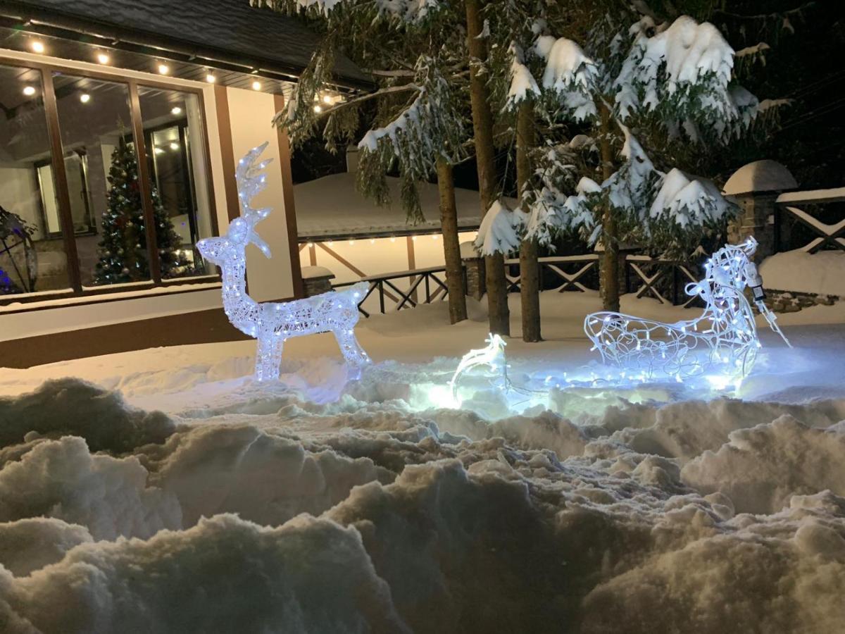Aparthotel Феєрія Лісу Skhidnytsia Esterno foto